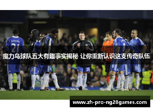魔力鸟球队五大有趣事实揭秘 让你重新认识这支传奇队伍
