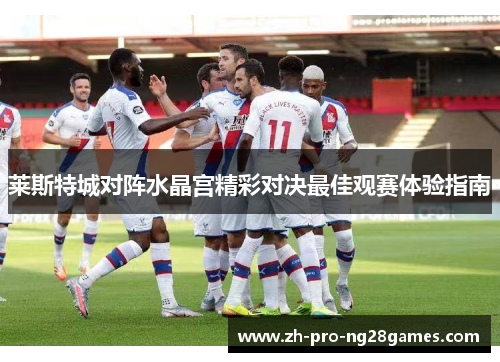 莱斯特城对阵水晶宫精彩对决最佳观赛体验指南
